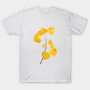 bright yellow birch leaves branch T-Shirt